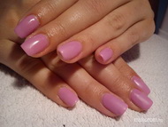 Rékának matt kaméleon